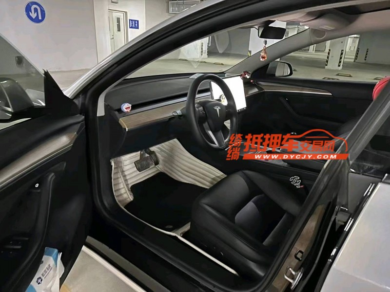 棗莊22年特斯拉MODEL 35