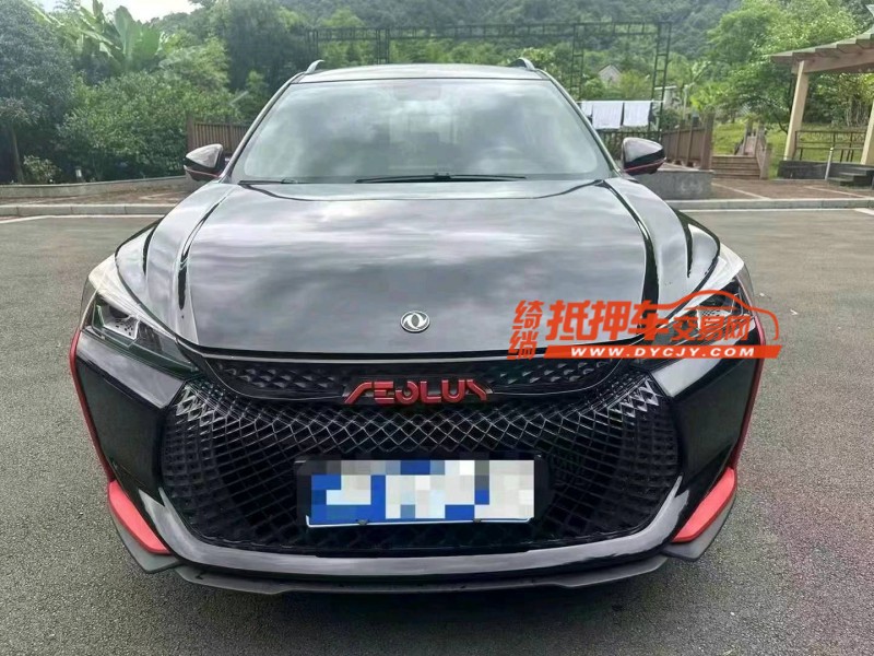 嘉興23年東風奕炫1