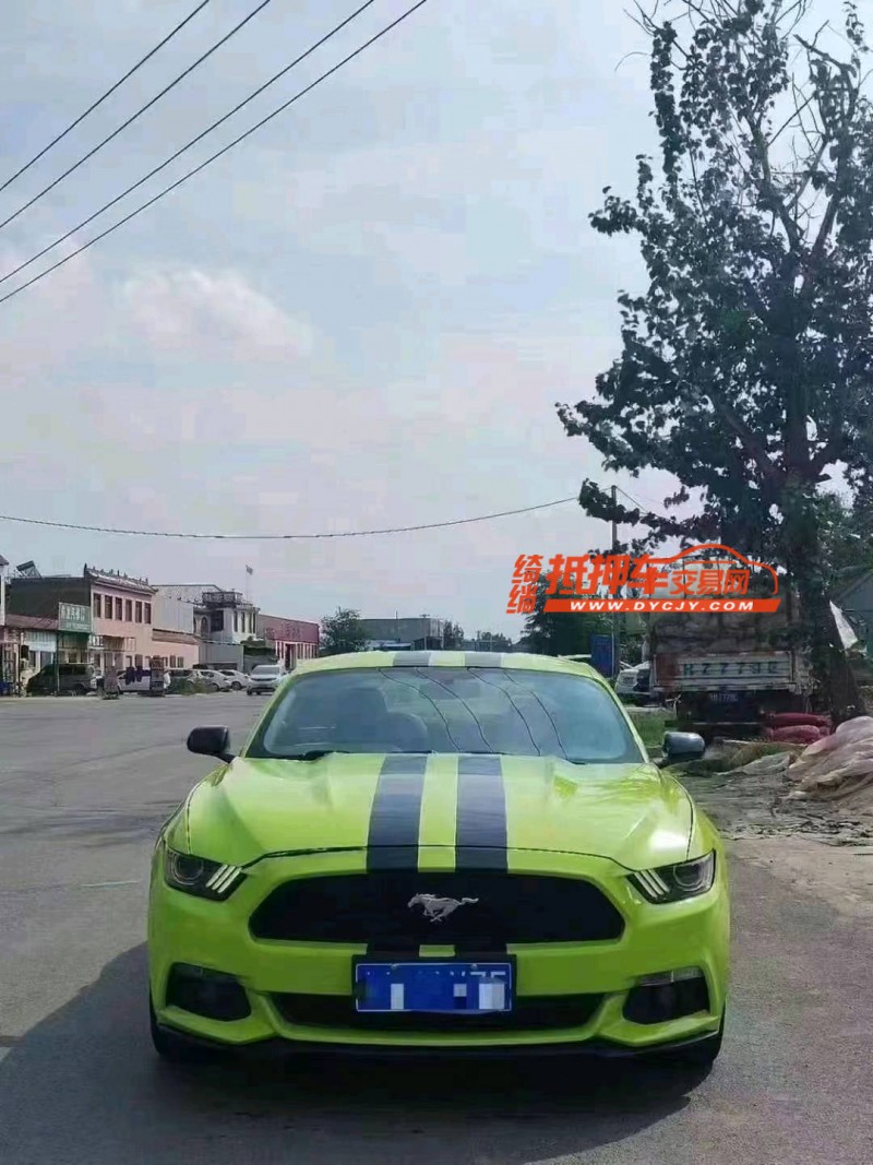 菏泽15年福特野马1