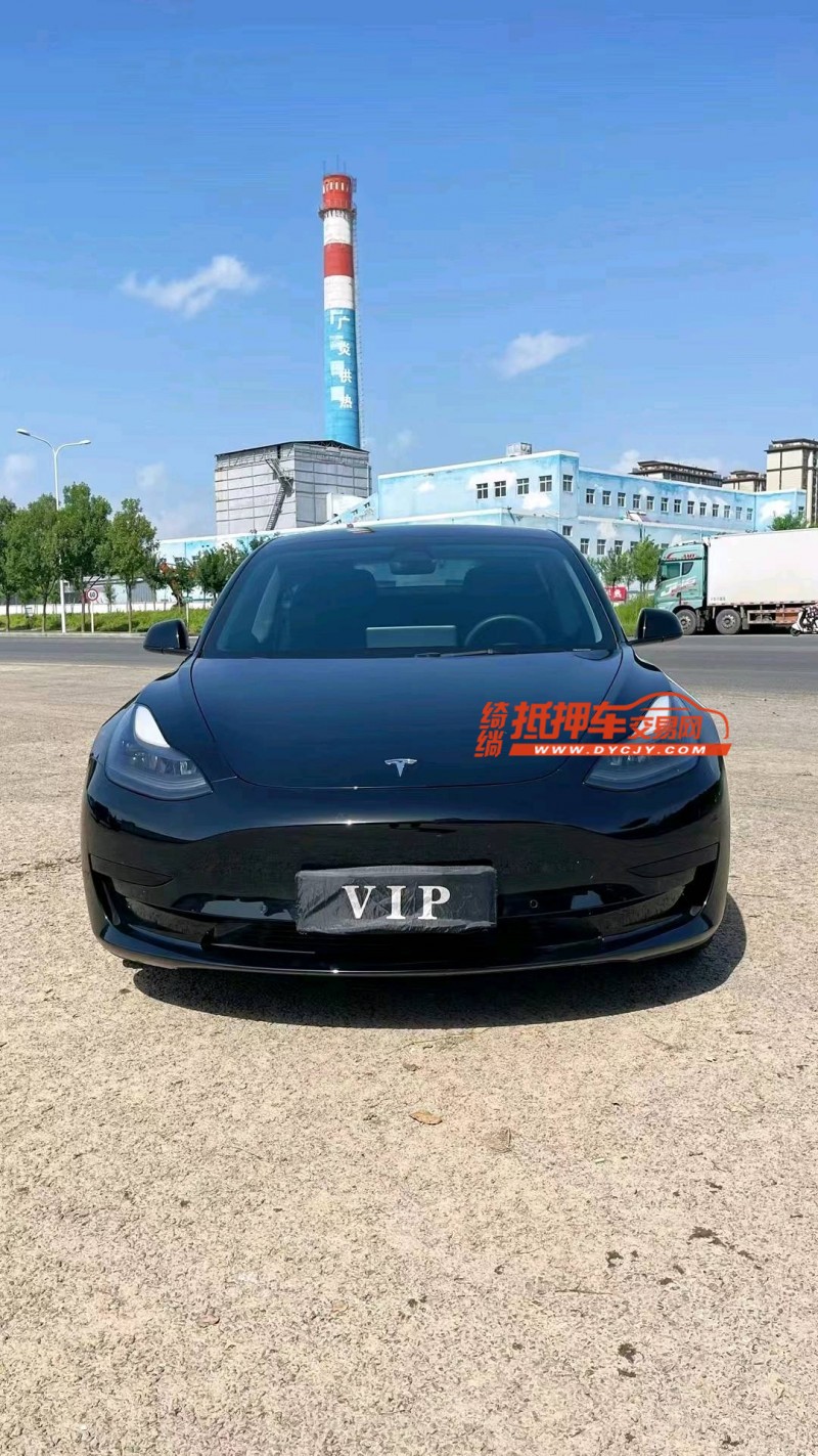 廊坊21年特斯拉MODEL 31