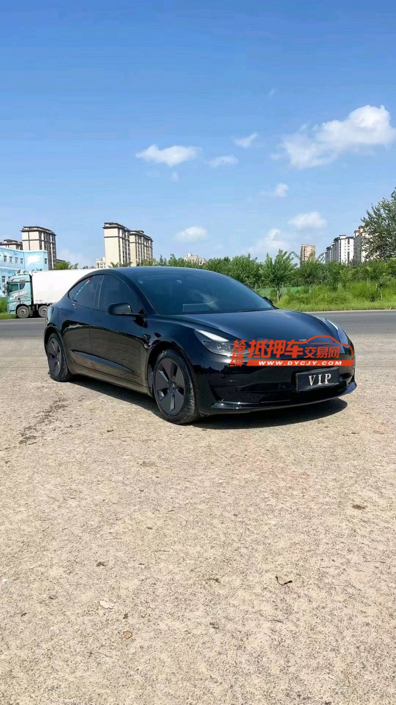 廊坊21年特斯拉MODEL 33