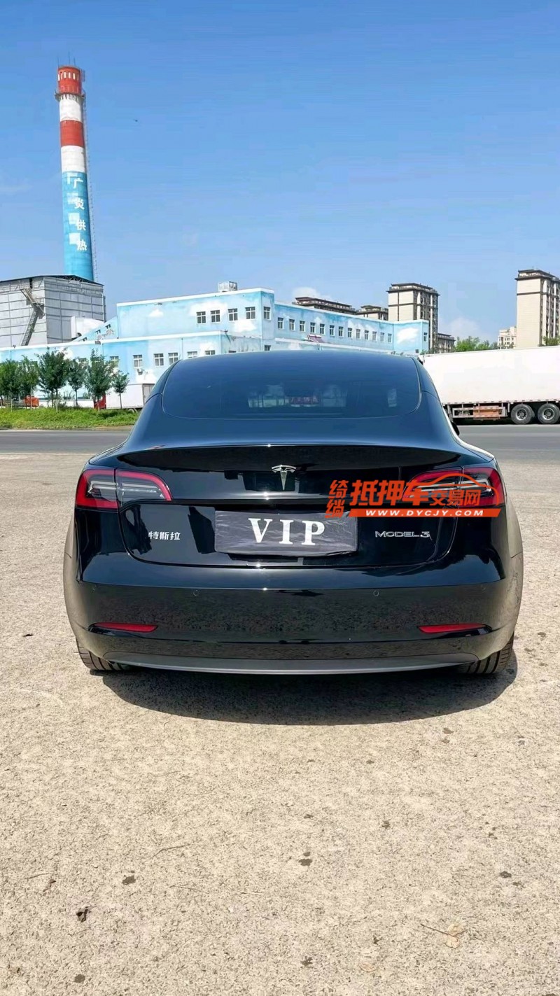 廊坊21年特斯拉MODEL 35