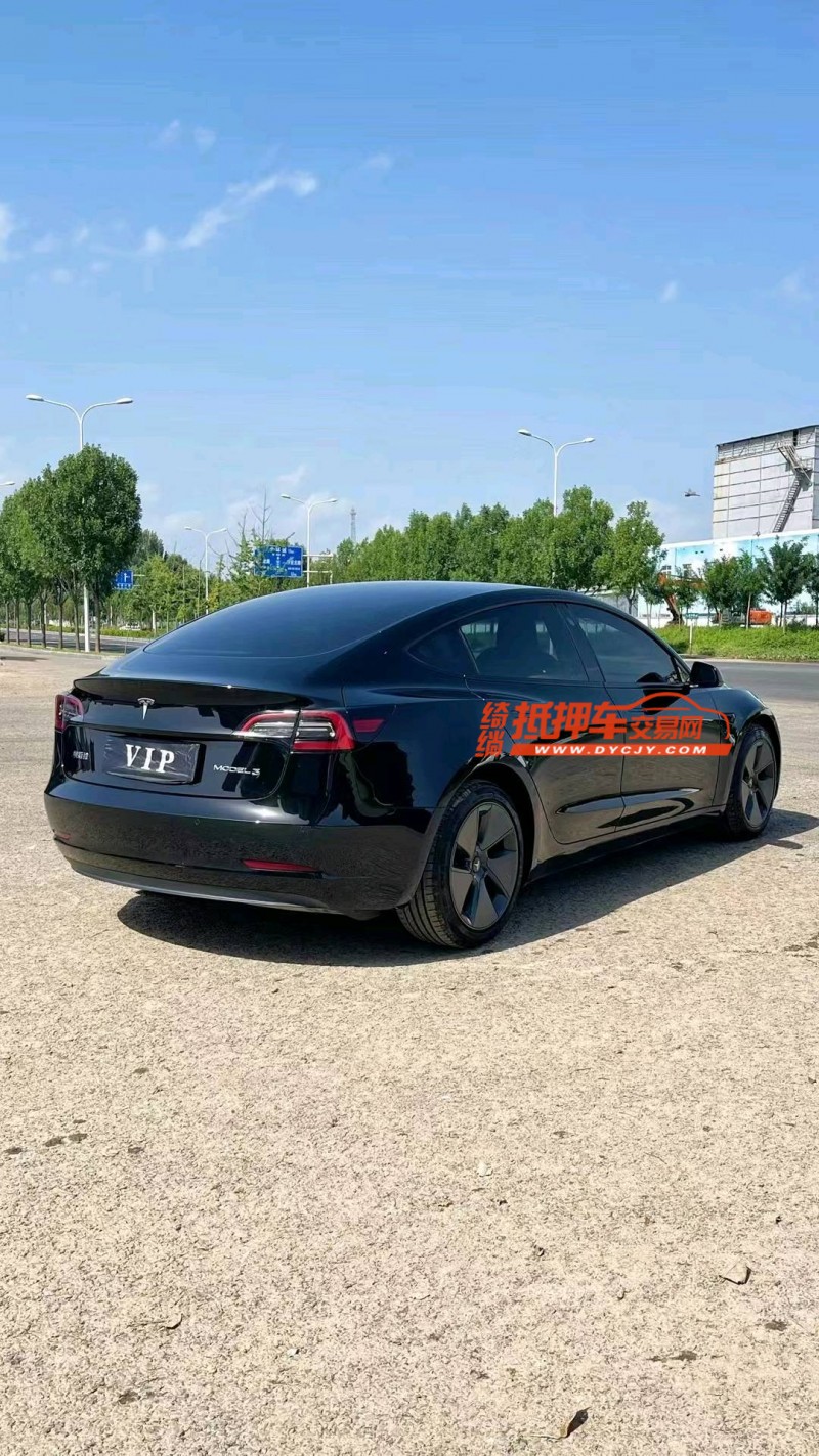 廊坊21年特斯拉MODEL 36
