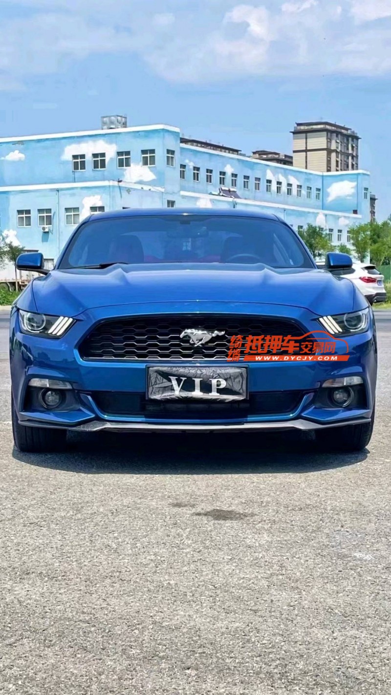 廊坊17年福特野马1