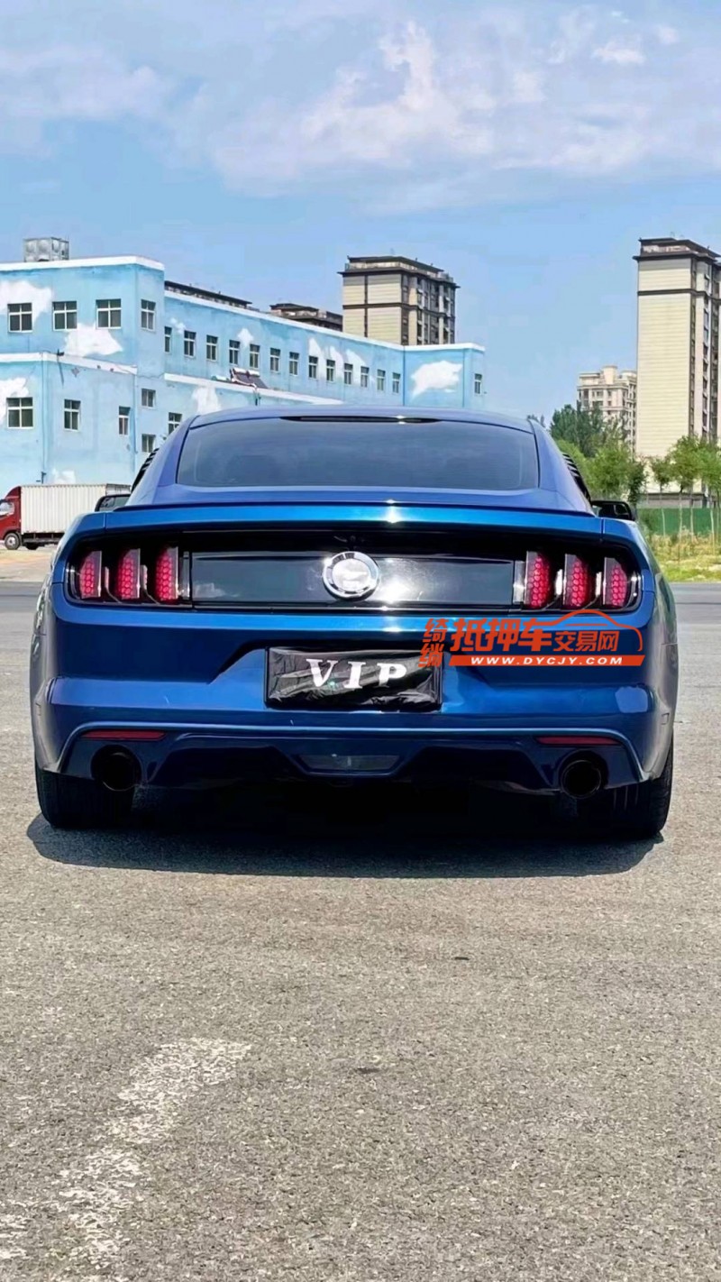 廊坊17年福特野马9