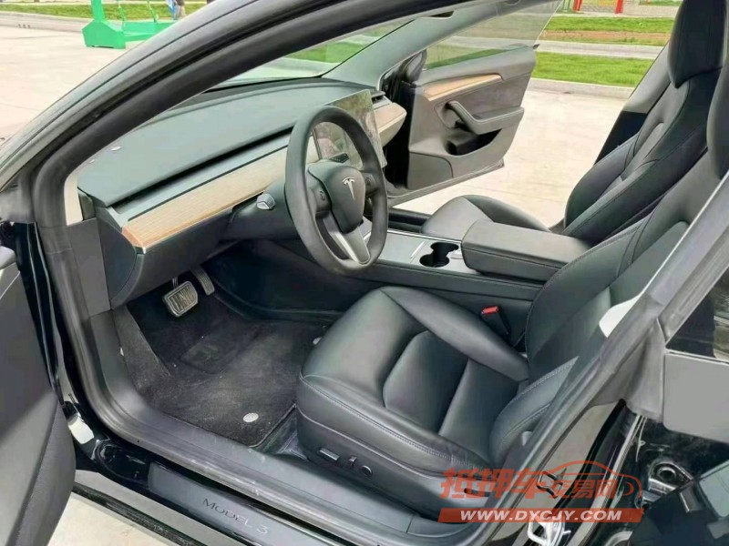 徐州21年特斯拉MODEL 33