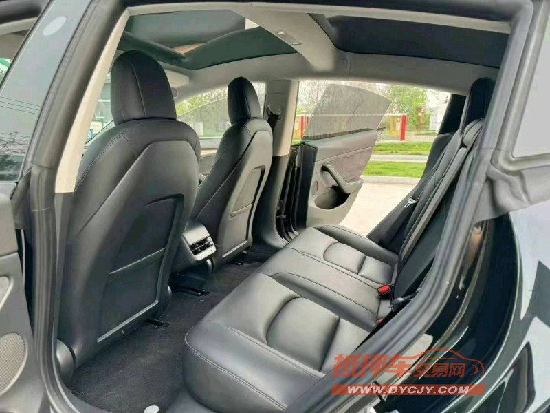 徐州21年特斯拉MODEL 36