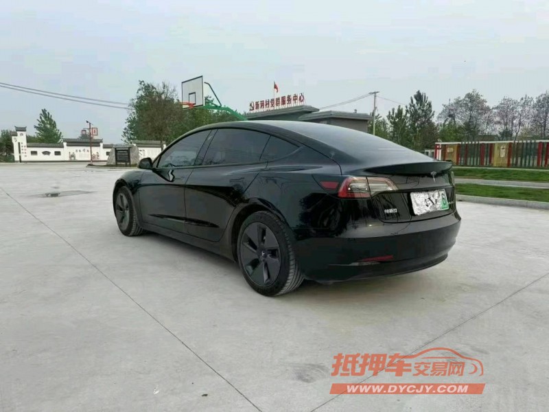 徐州21年特斯拉MODEL 38