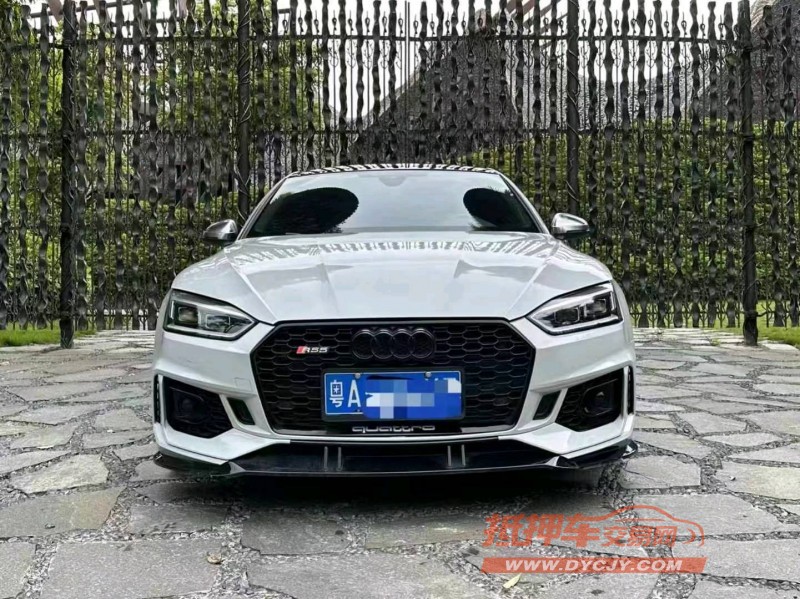 广州19年奥迪S51