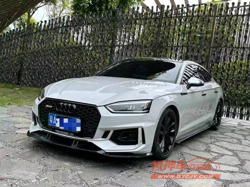 广州19年奥迪S53