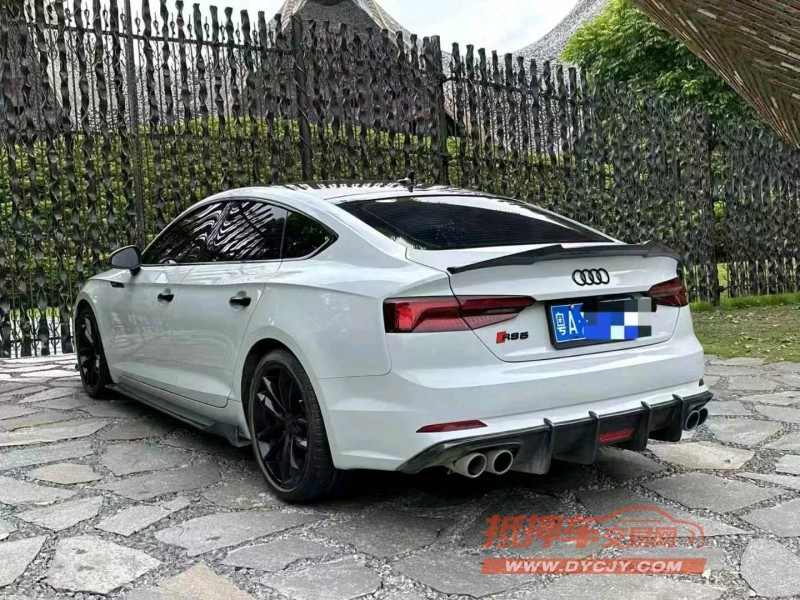 广州19年奥迪S58