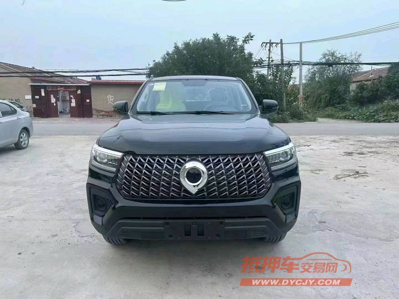 潍坊24年长城汽车炮 皮卡1