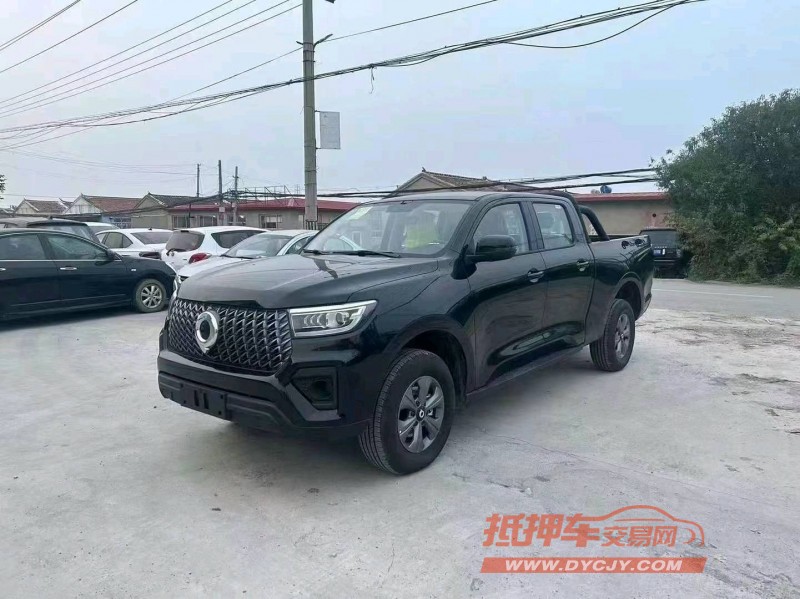 潍坊24年长城汽车炮 皮卡2