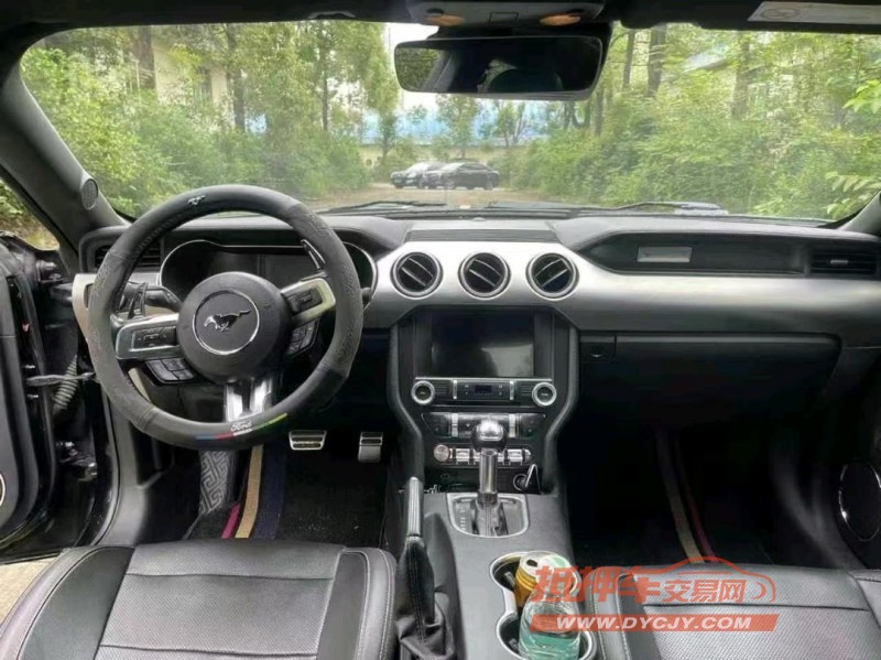 邵阳19年福特野马3