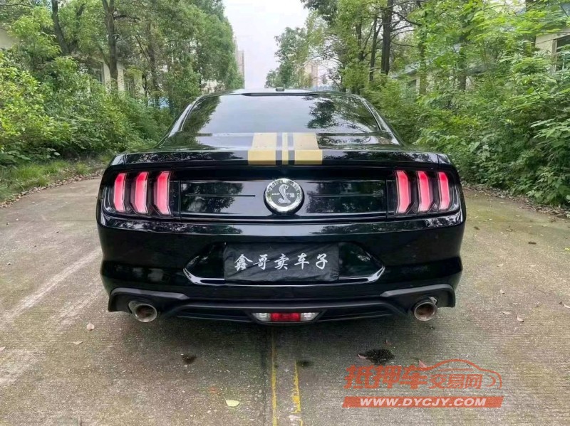 邵阳19年福特野马5