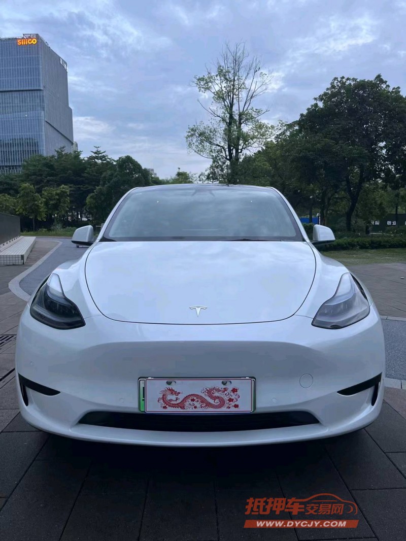 佛山22年特斯拉MODEL Y1