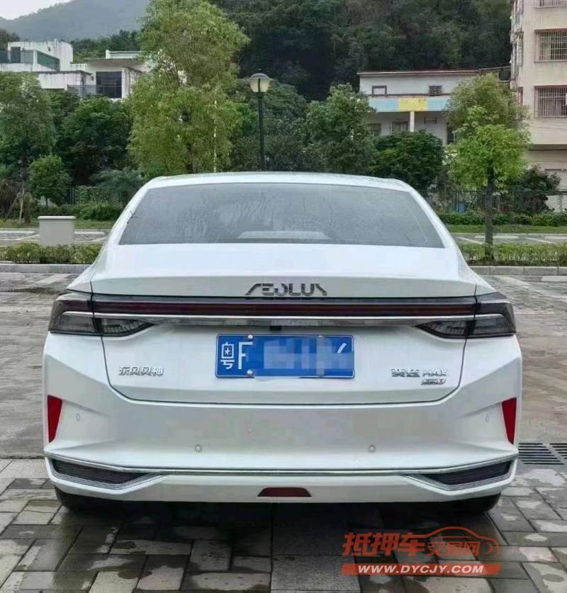 广州23年东风奕炫9