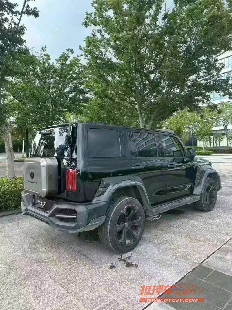 武汉22年长城汽车坦克3004