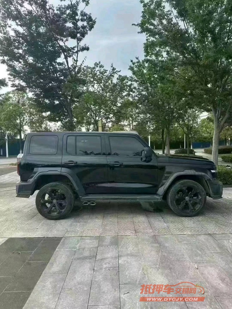 武汉22年长城汽车坦克3006