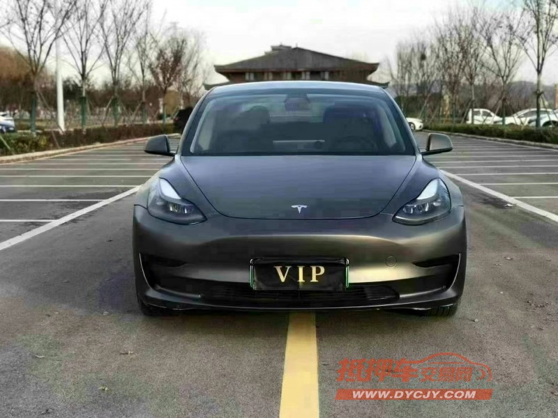徐州21年特斯拉MODEL 31