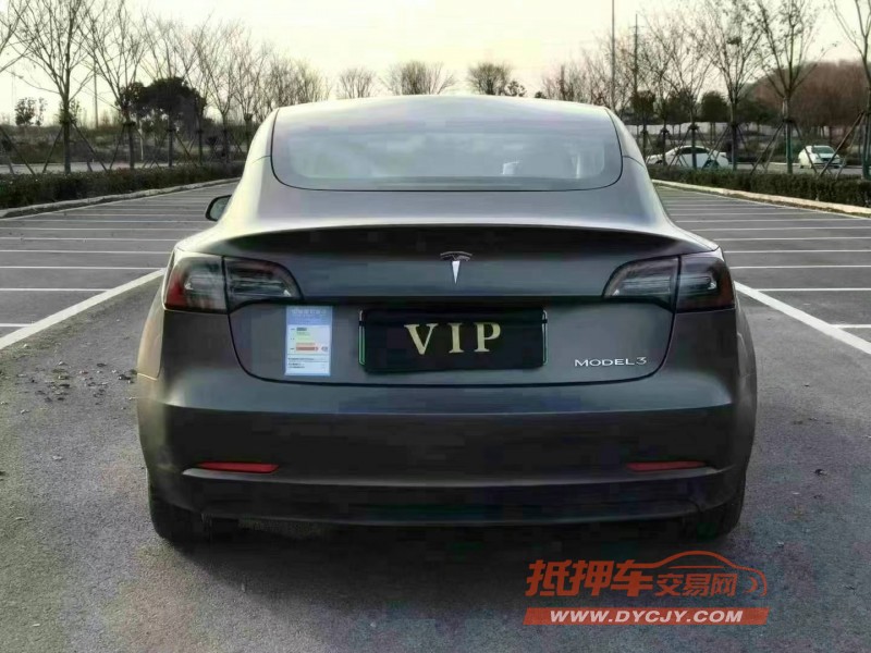 徐州21年特斯拉MODEL 39