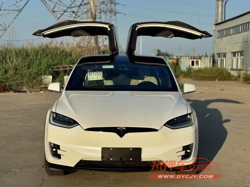 天津20年特斯拉MODEL X1