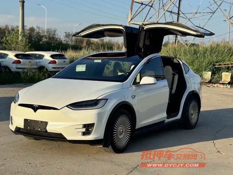 天津20年特斯拉MODEL X2