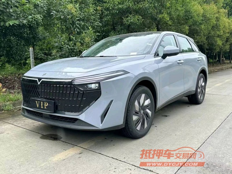 武漢24年啟辰大V2