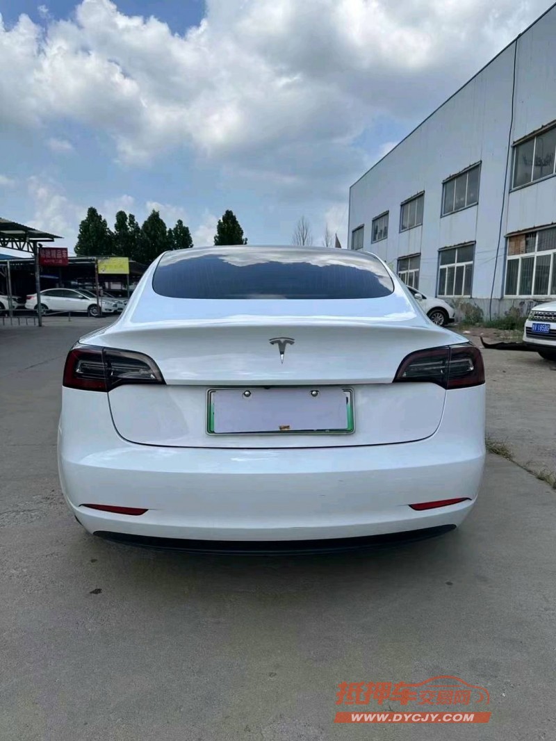 濰坊20年特斯拉MODEL 33