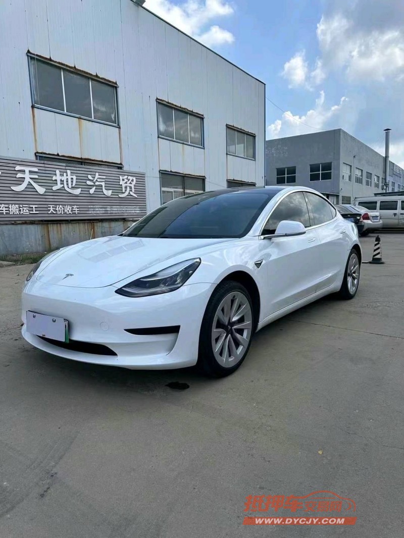 濰坊20年特斯拉MODEL 37
