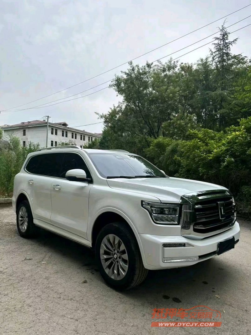 長治22年長城汽車坦克5007