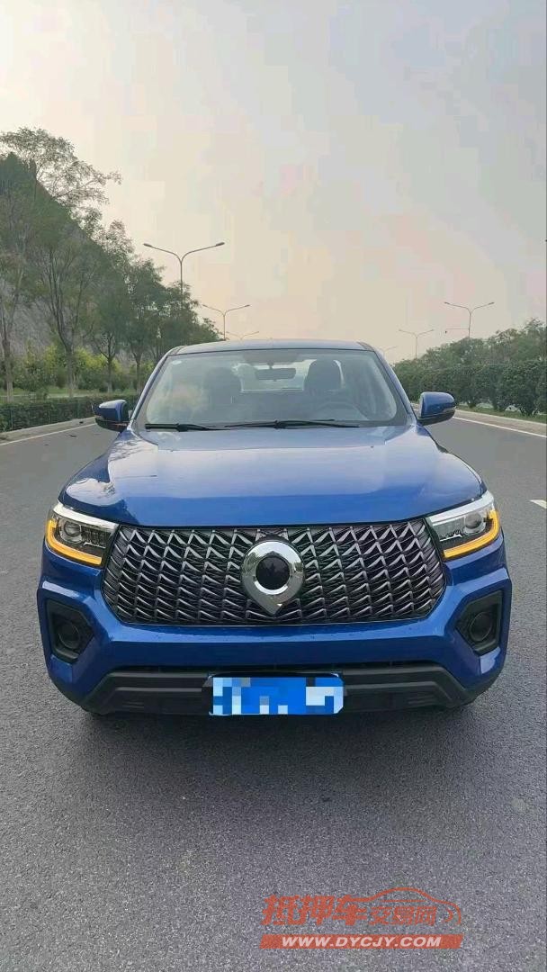 济南24年长城汽车炮 皮卡1