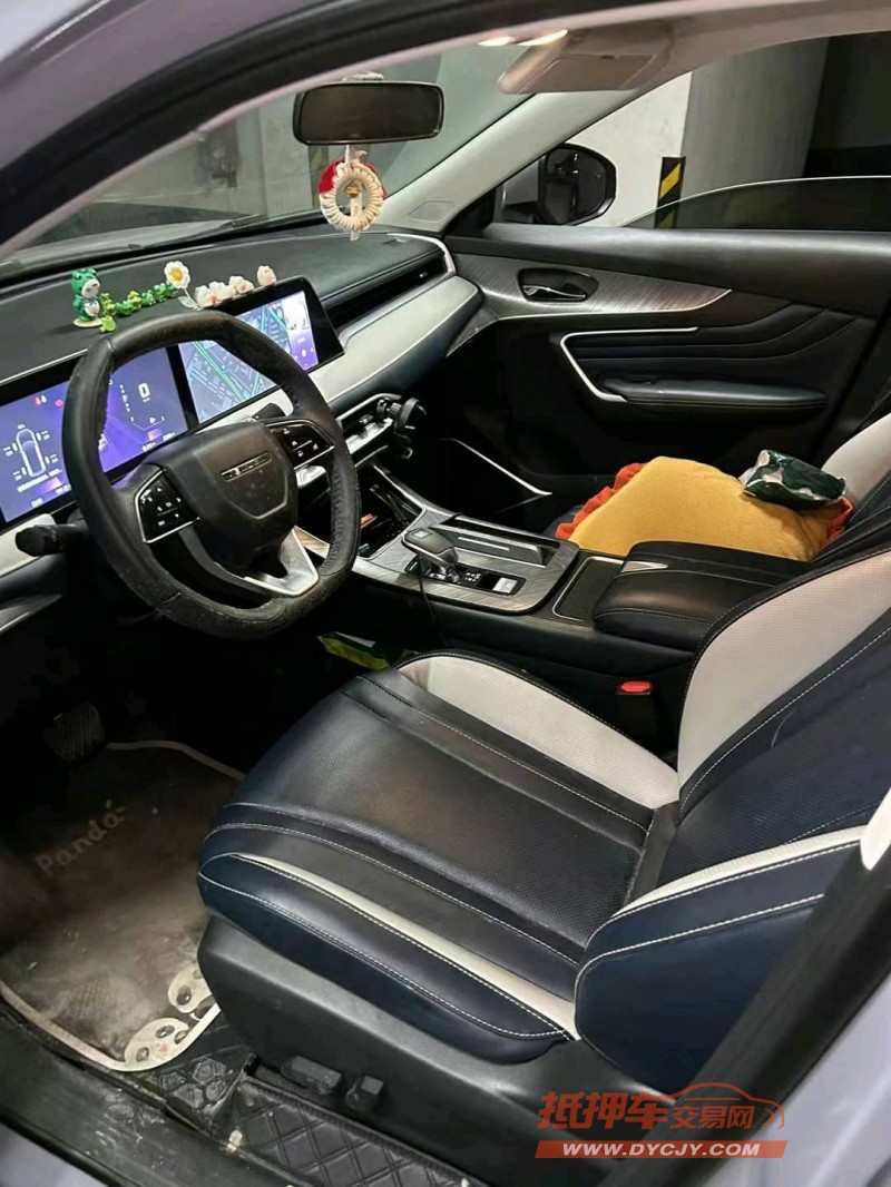 安慶23年啟辰大V6