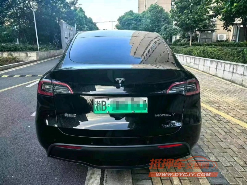 紹興22年特斯拉MODEL Y3