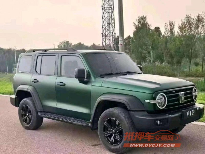 濟寧23年長城汽車坦克3004
