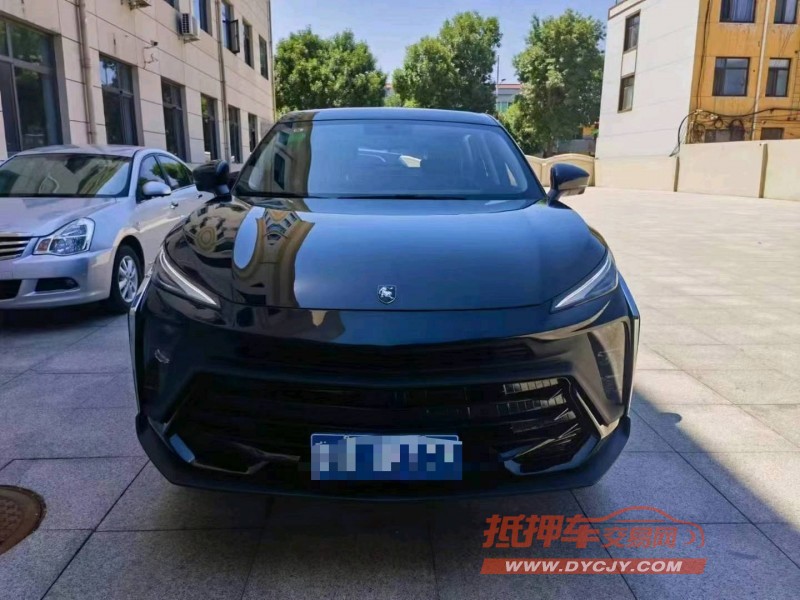 保定24年东风T51