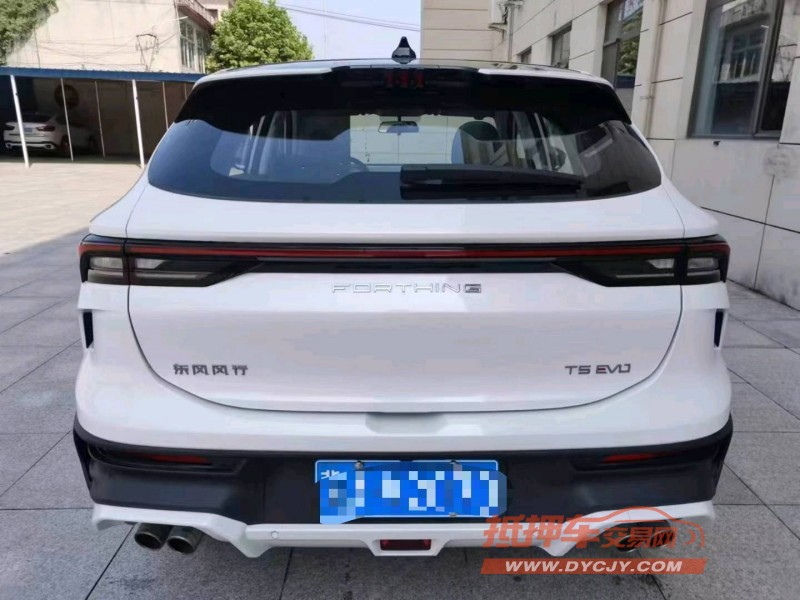 保定24年东风T59