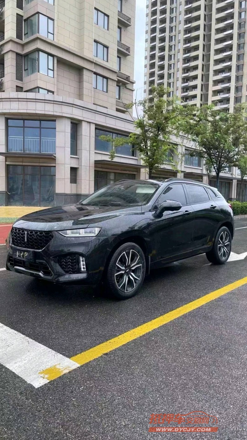 威海18年長城汽車WEY VV77