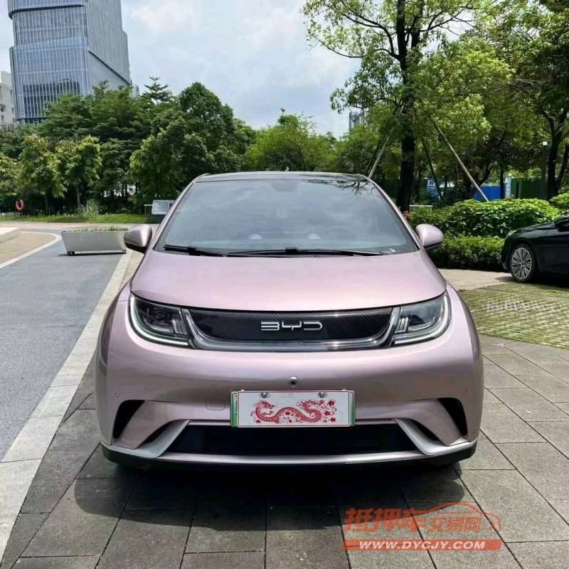 江门23年比亚迪海豚1