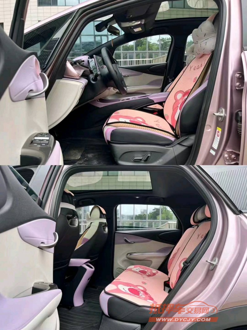 江门23年比亚迪海豚4