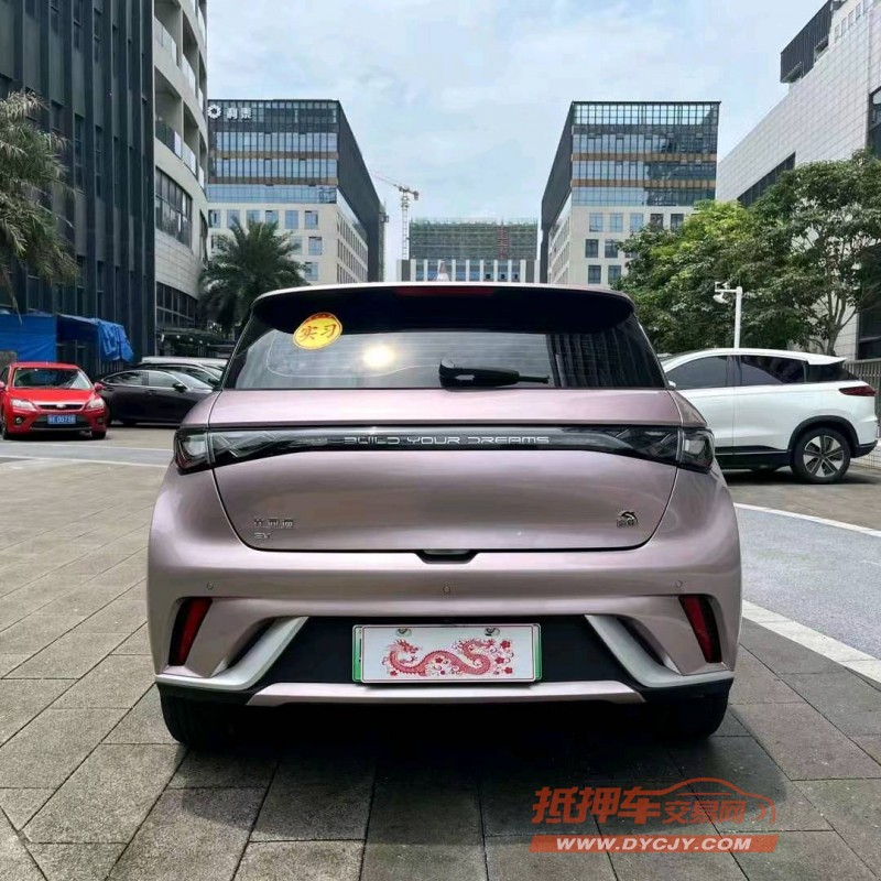 江门23年比亚迪海豚6