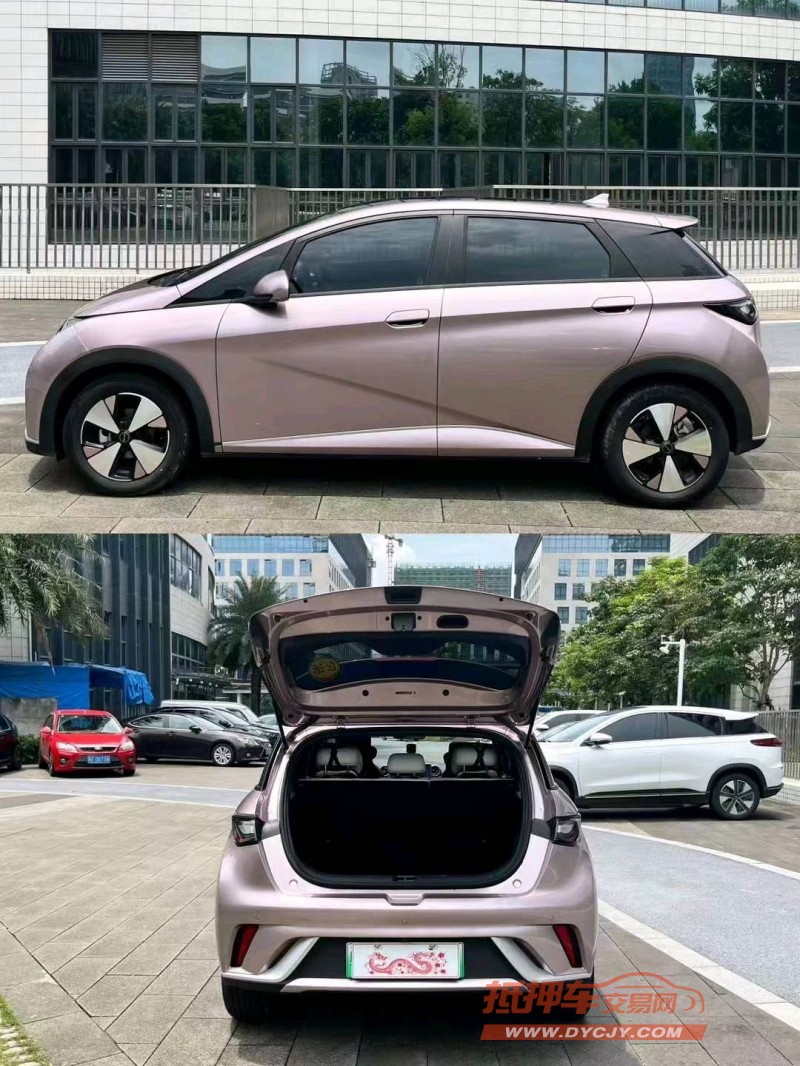 江门23年比亚迪海豚7