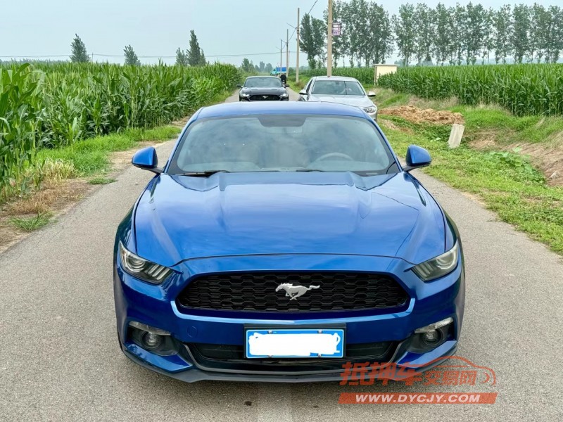 济宁18年福特野马1