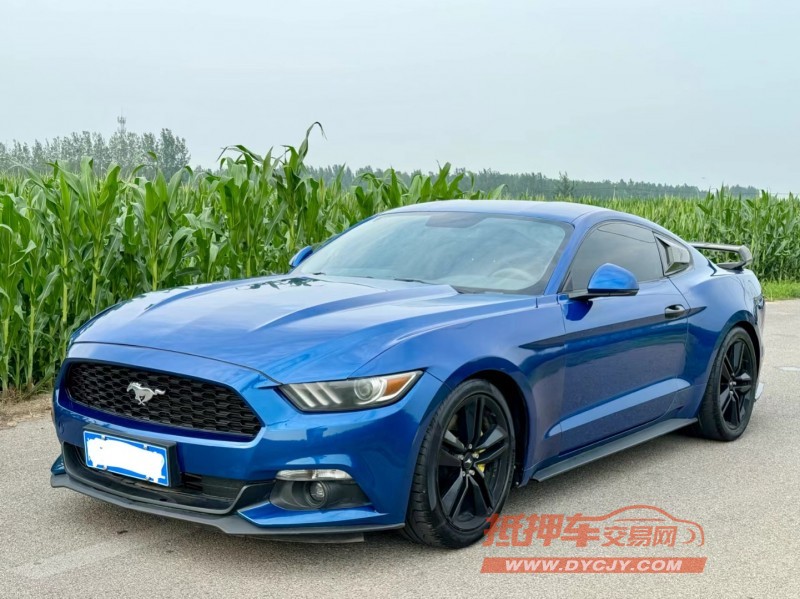 济宁18年福特野马2