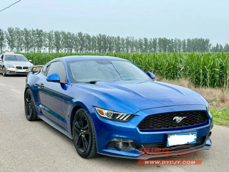 济宁18年福特野马3