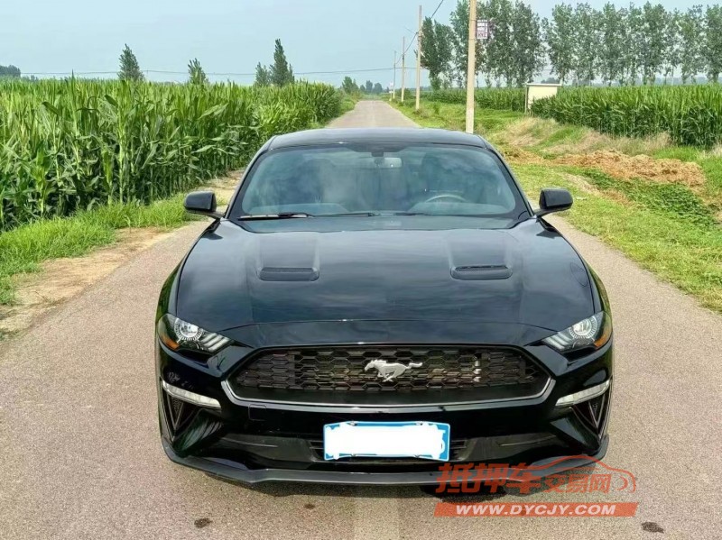 济宁19年福特野马1
