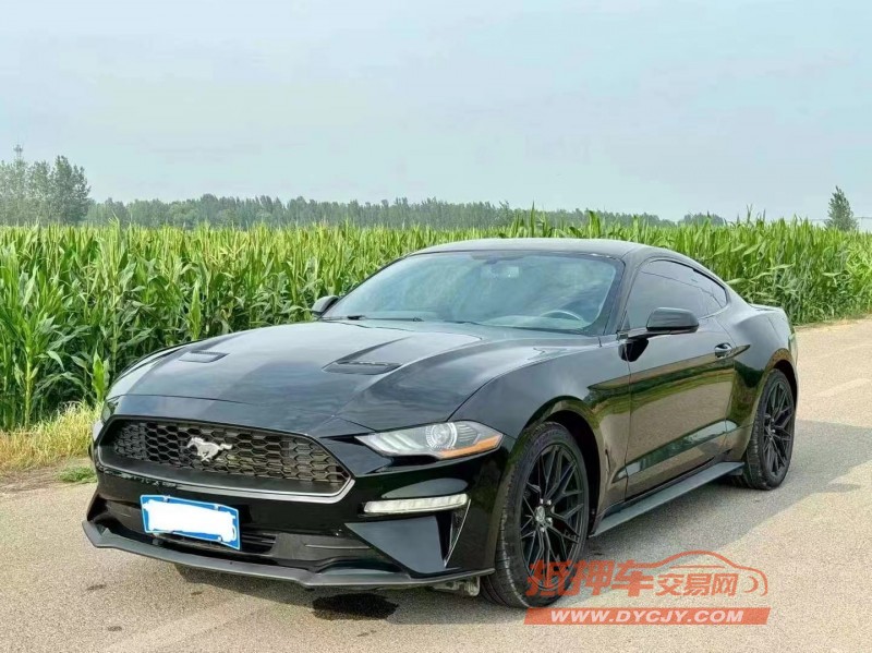 济宁19年福特野马2