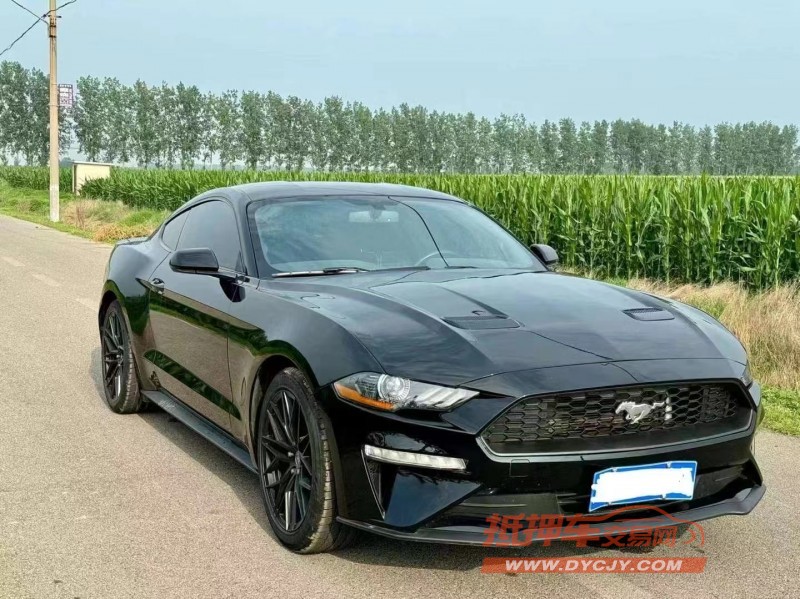 济宁19年福特野马3