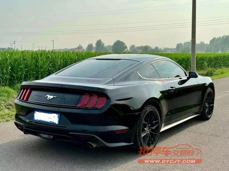 济宁19年福特野马4