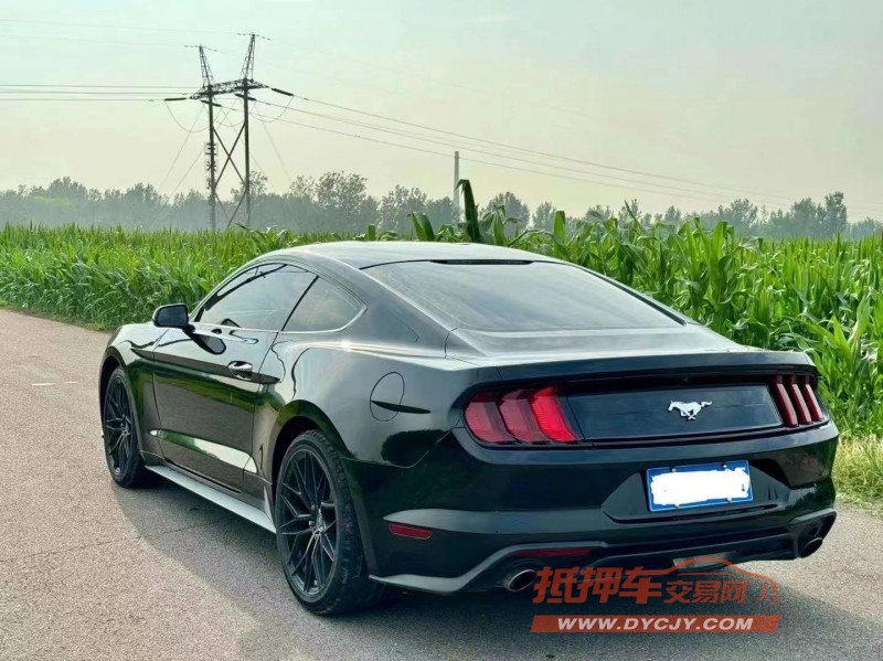 济宁19年福特野马5